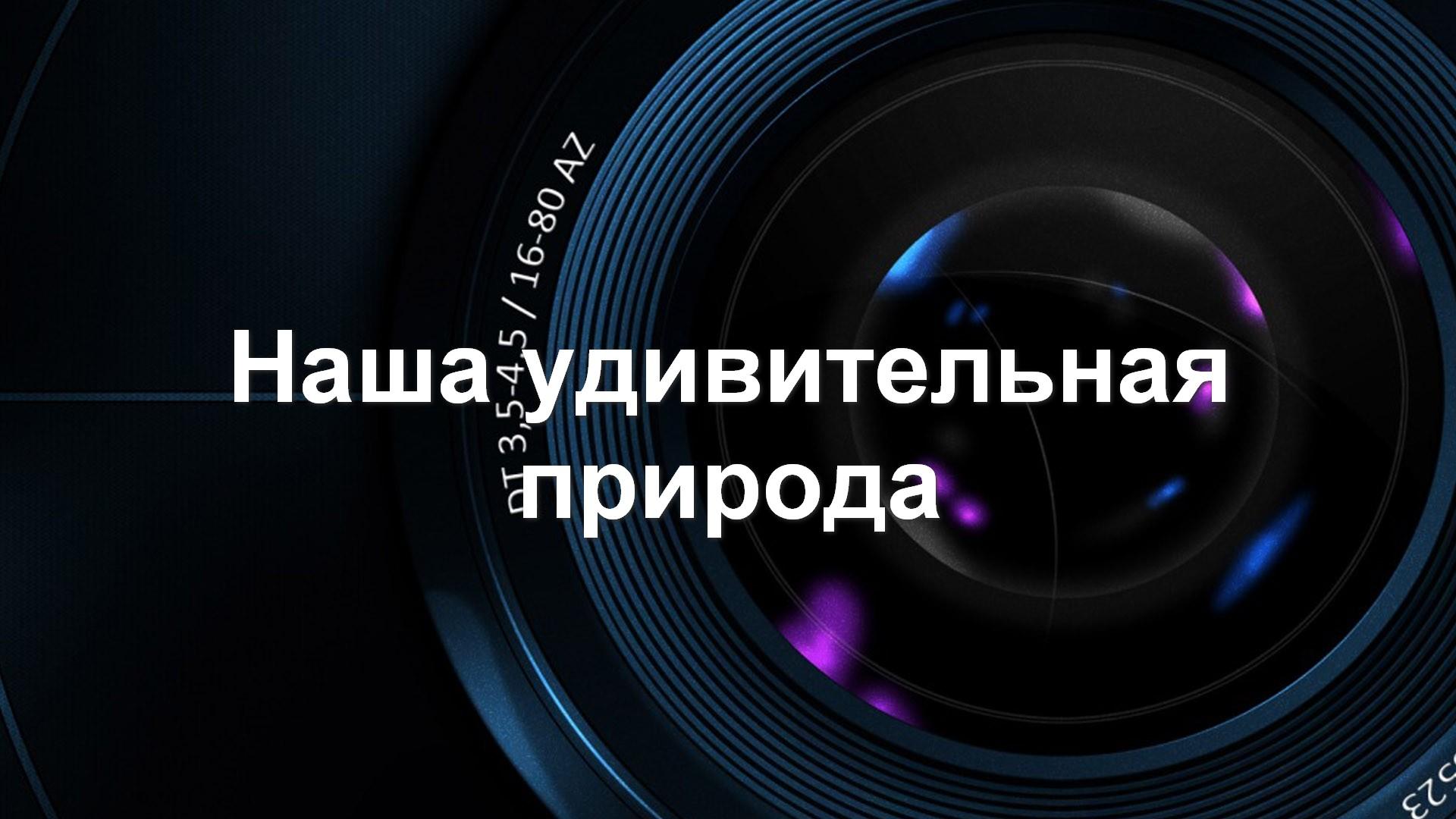 Наша удивительная природа (nasha-udivitelnaja-priroda) Мультфильм 2008