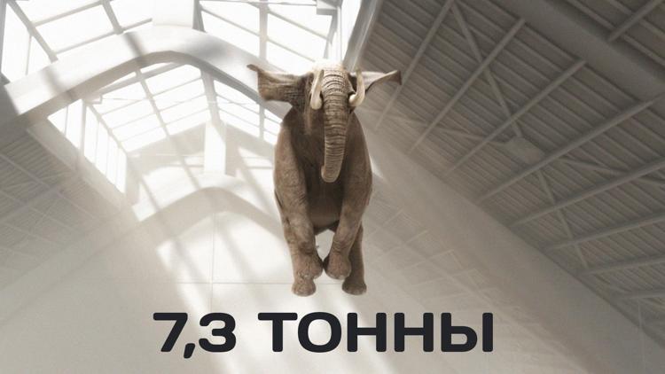 Постер 7,3 тонны