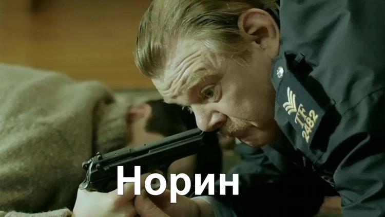 Постер Норин