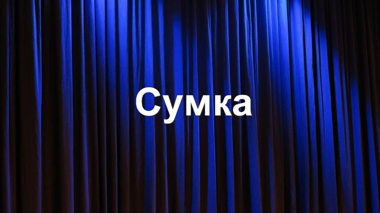 Постер Сумка