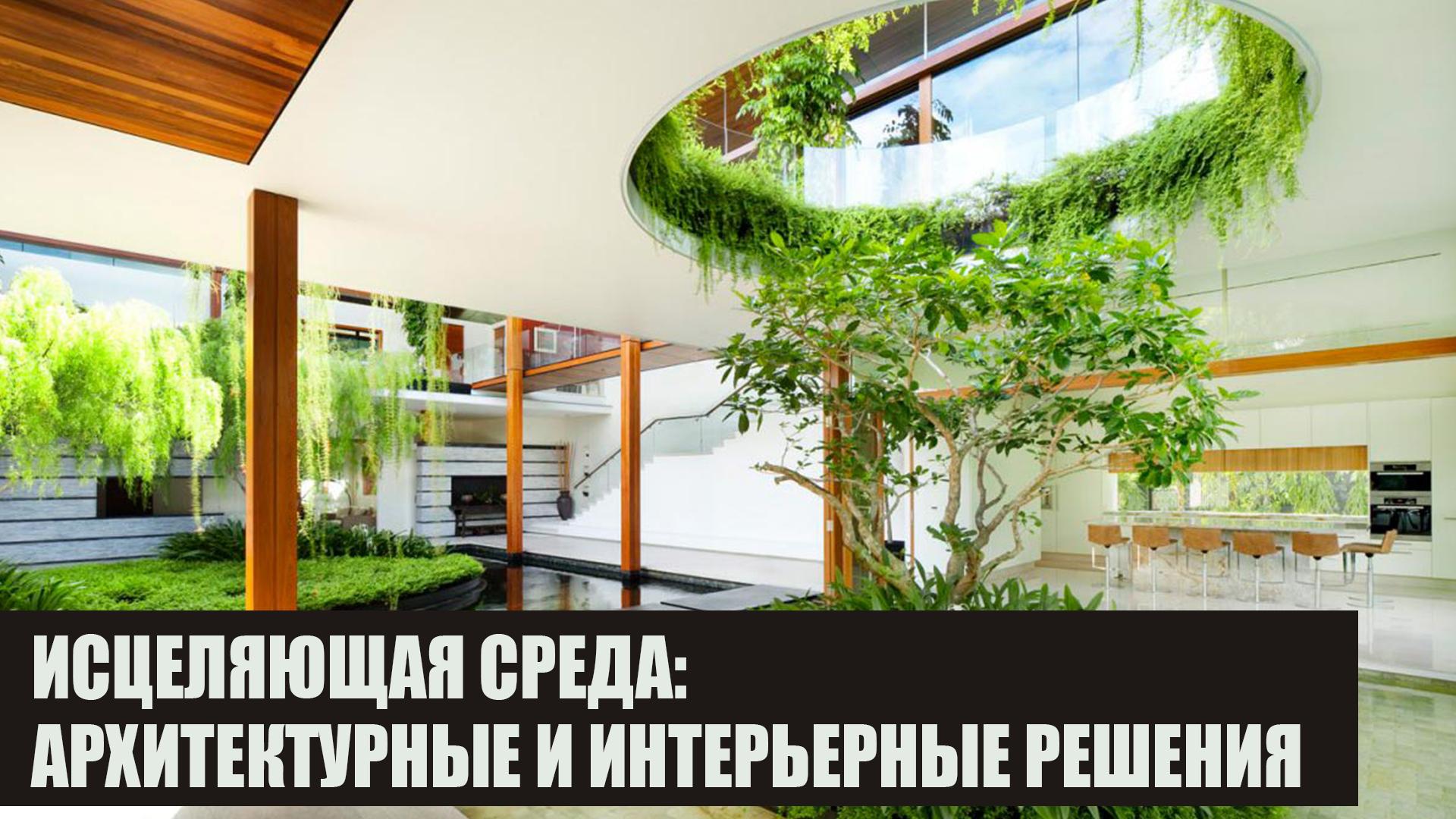 Исцеляющая среда: архитектурные и интерьерные решения (istseljajuschaja-sreda-arhitekturnye-i-interernye-reshenija) Досуг, хобби