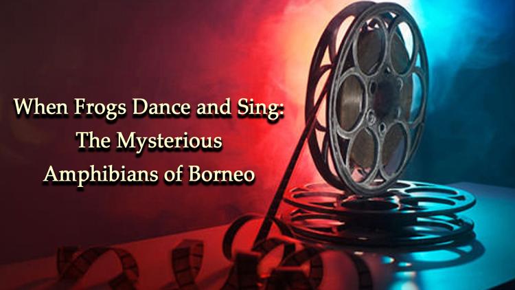 Постер When Frogs Dance and Sing: The Mysterious Amphibians of Borneo