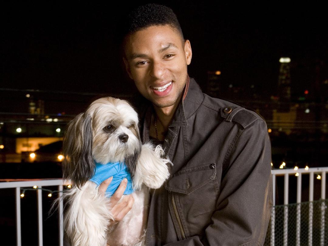 Мода для собак из Беверли-Хиллз (moda-dlja-sobak-iz-beverli-hillz) Документальный сериал