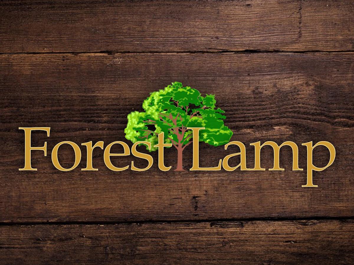 ForestLamp (forestlamp) Досуг, хобби