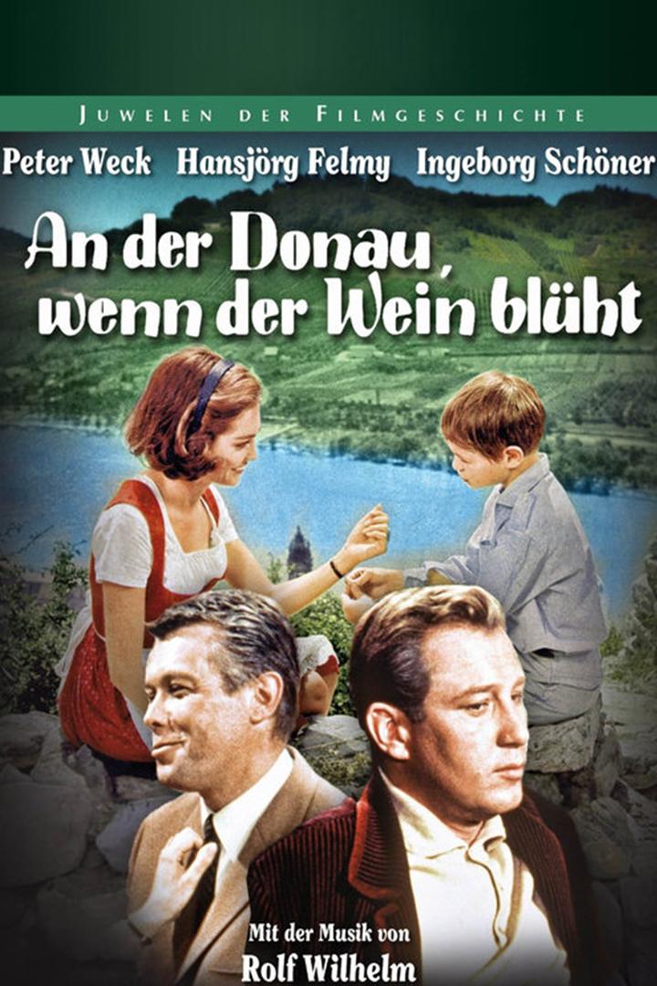 An der Donau, wenn der Wein blüht (an-der-donau-wenn-der-wein-blht) Фильм 1965