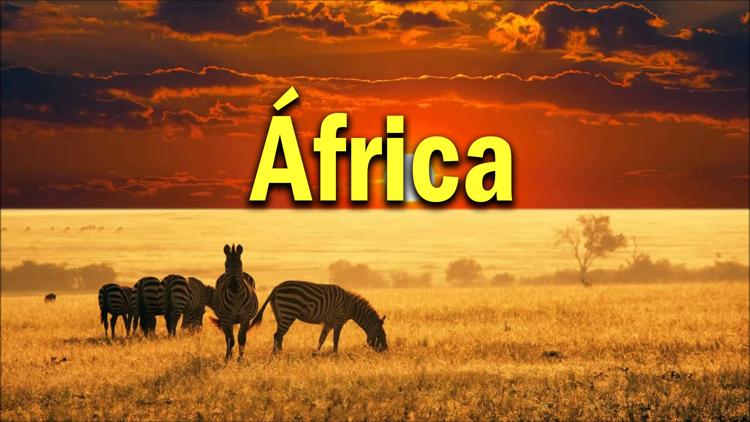 Постер Africa