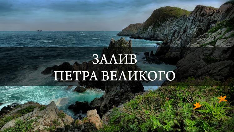 Постер Залив Петра Великого