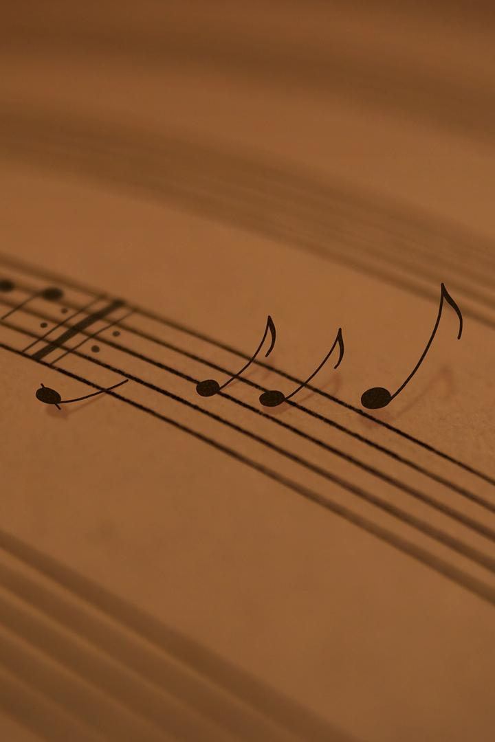 Orchestra Plai Moldovenesc (orchestra-plai-moldovenesc) Досуг, хобби