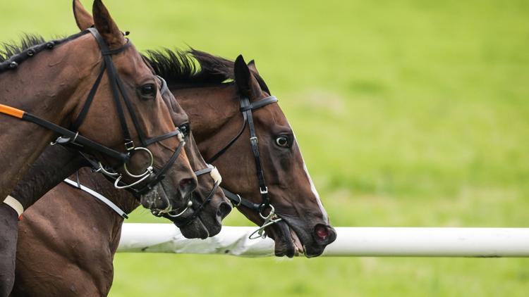 Постер Конный спорт. «Rolex Grand Slam». Трансляция из Голландии