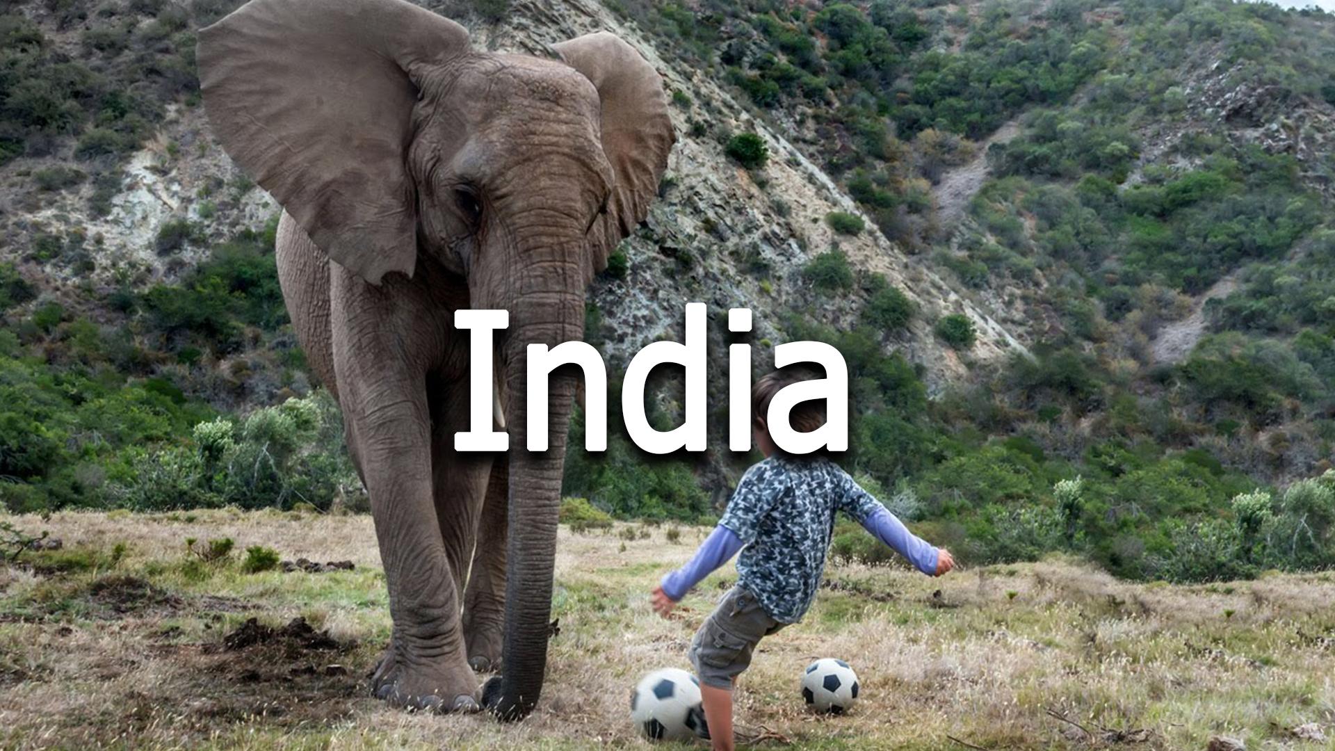 India (india) Познавательное