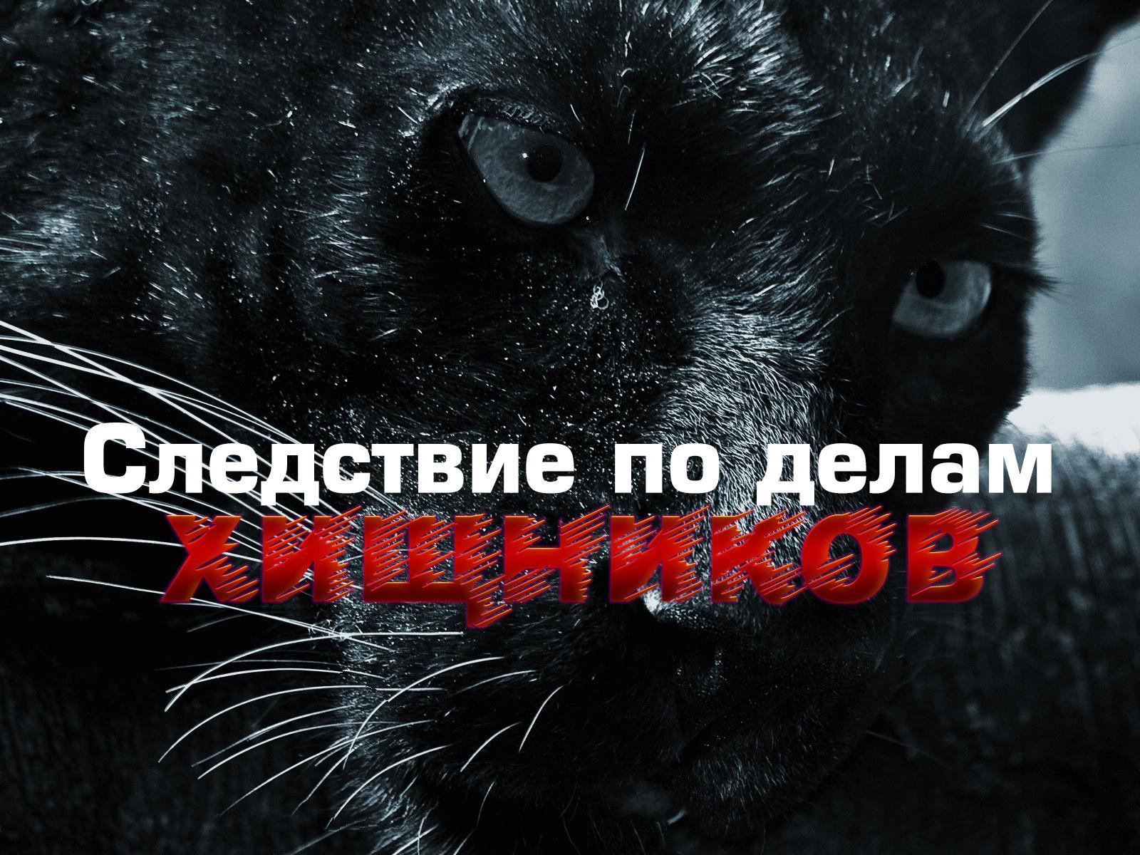 Следствие по делам хищников (sledstvie-po-delam-hischnikov) Документальный сериал