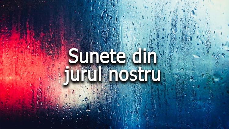 Постер Sunete din jurul nostru