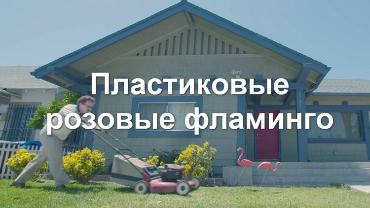 Постер Пластиковые розовые фламинго