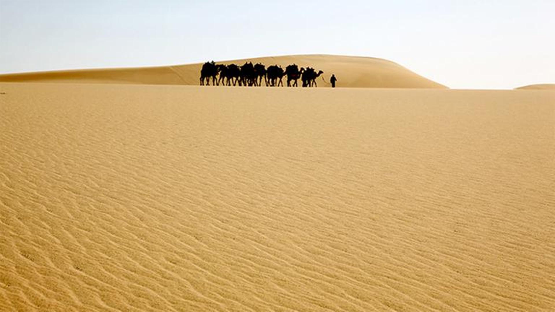 Geheimnisse der Wüste (geheimnisse-der-wste) Документальный фильм