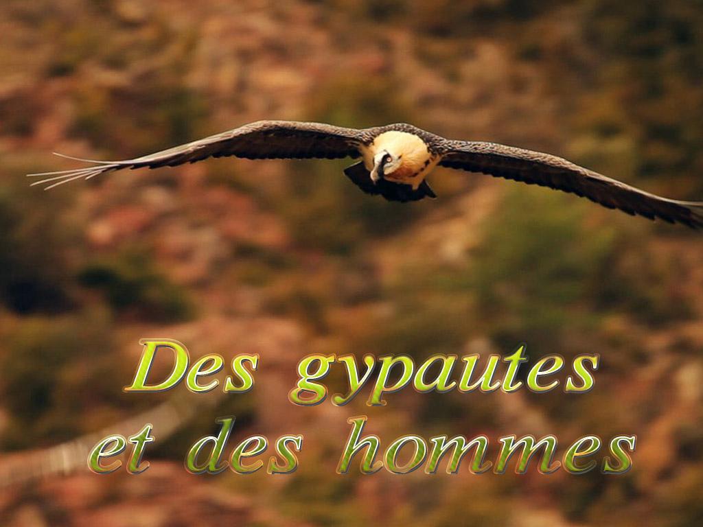 Des gypaètes et des hommes (des-gypates-et-des-hommes) Документальный фильм