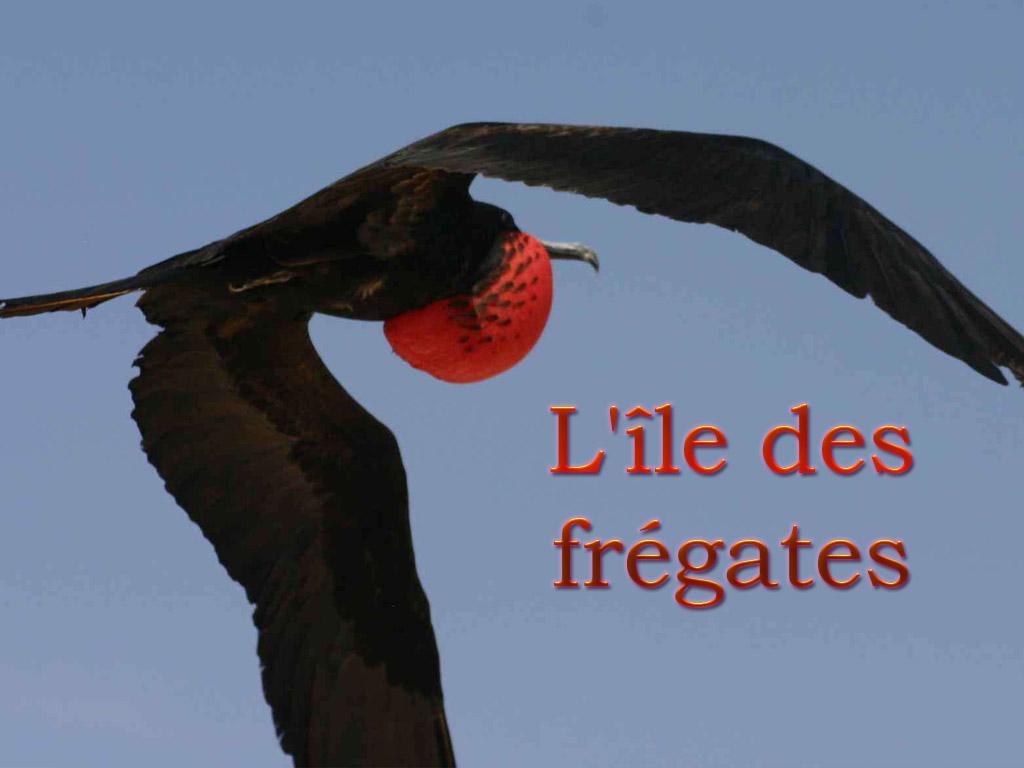 L'île des frégates (lle-des-frgates) Документальный сериал