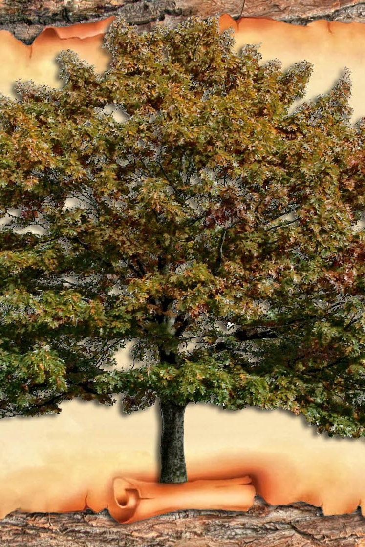 Бабалар мұрасы (babalar-mrasy) Досуг, хобби