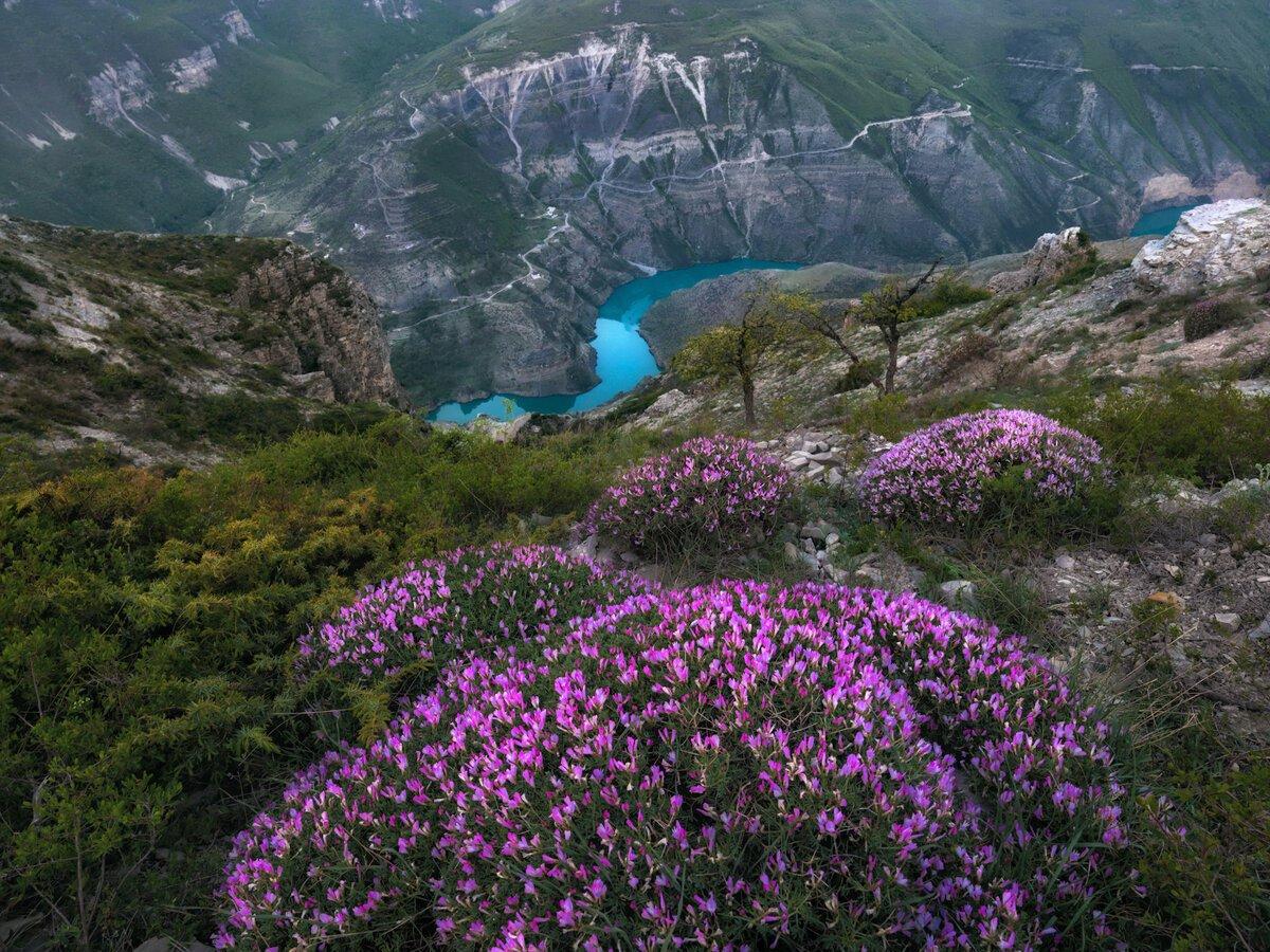 Из Дагестана в Оман (iz-dagestana-v-oman) Документальный сериал