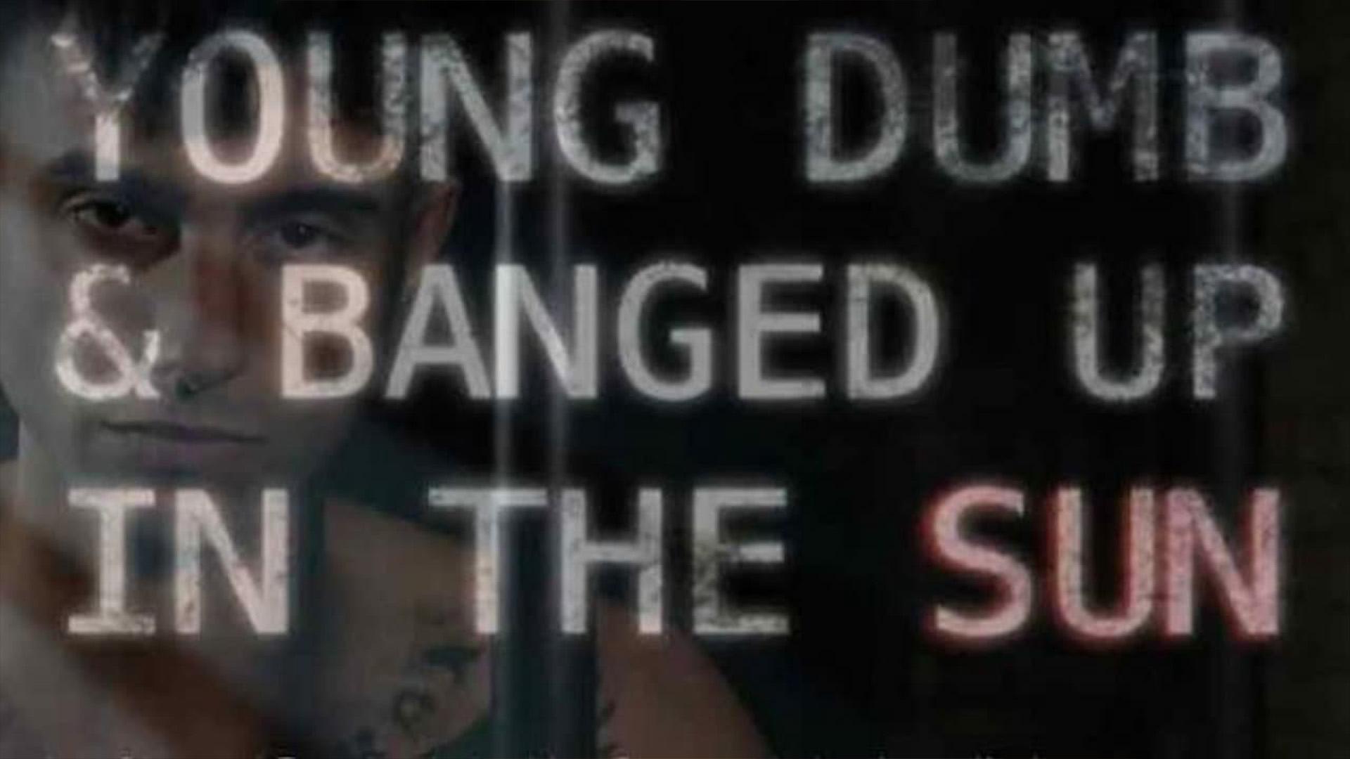Young, Dumb & Banged Up In The Sun (young-dumb-banged-up-in-the-sun) Документальный сериал