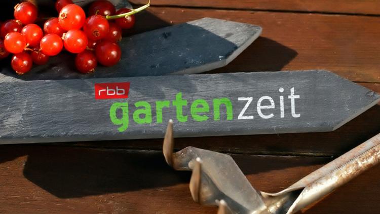 Постер rbb Gartenzeit