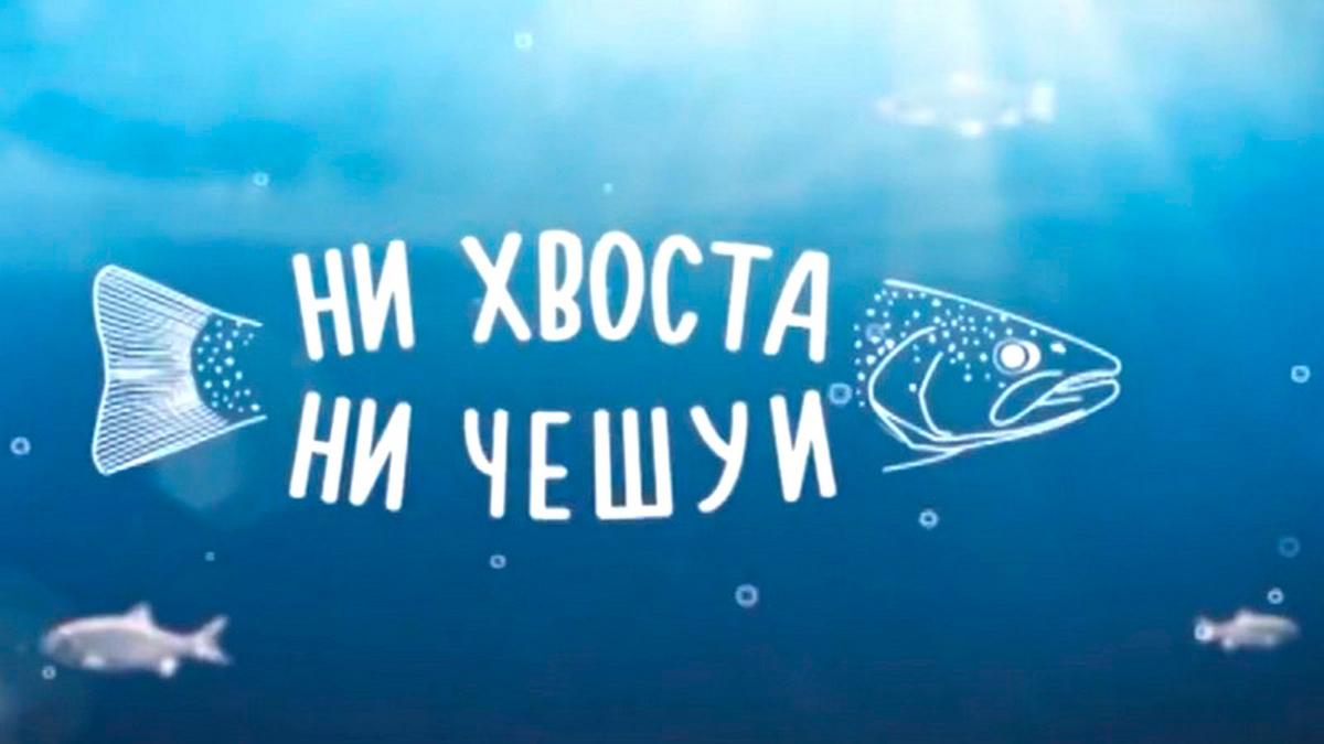 Ни хвоста, ни чешуи (ni-hvosta-ni-cheshui) Досуг, хобби