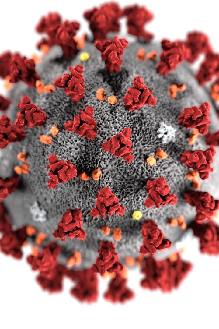 Самые опасные вирусы. Коронавирус (samye-opasnye-virusy-koronavirus) Документальный фильм