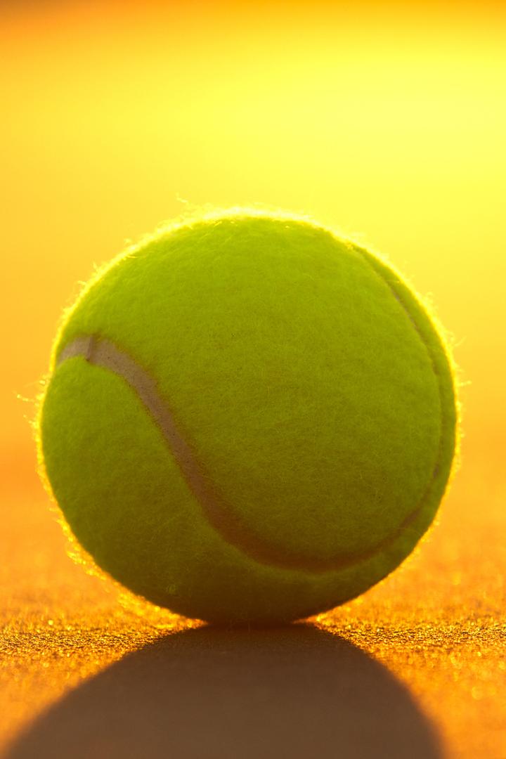 Berrettini - Il Gigante Buono (berrettini-il-gigante-buono) ТВ-шоу