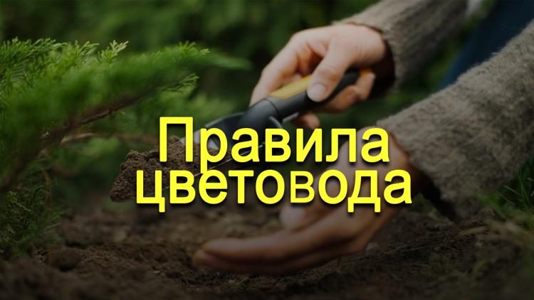 Постер Правила цветовода