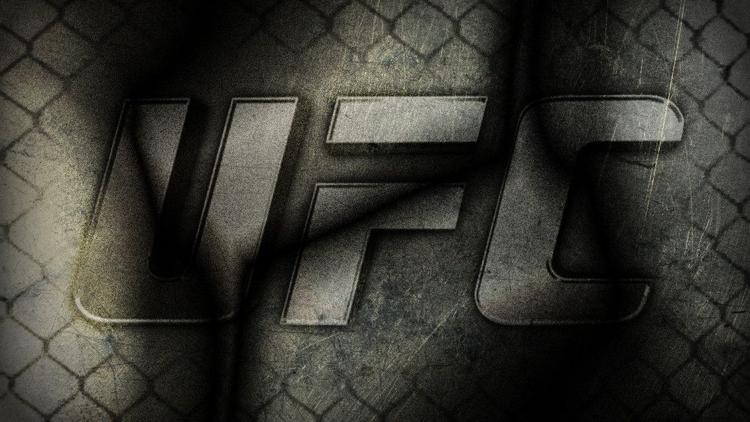 Постер UFC Training Day