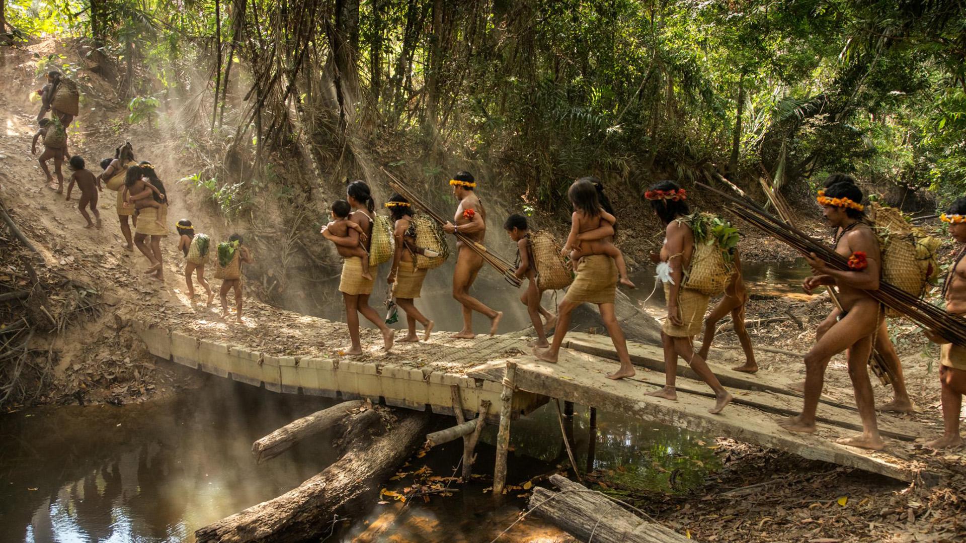 Дикая природа Перу: Битва за жизнь (dikaja-priroda-peru-bitva-za-zhizn) Документальный фильм