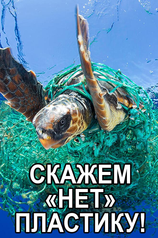 Скажем «нет» пластику! (skazhem-net-plastiku) Документальный фильм