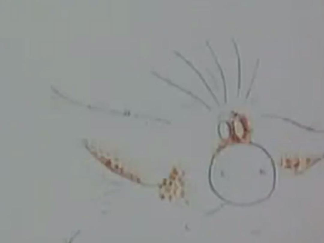 Поросёнок и весна (porosenok-i-vesna) Мультфильм 2001