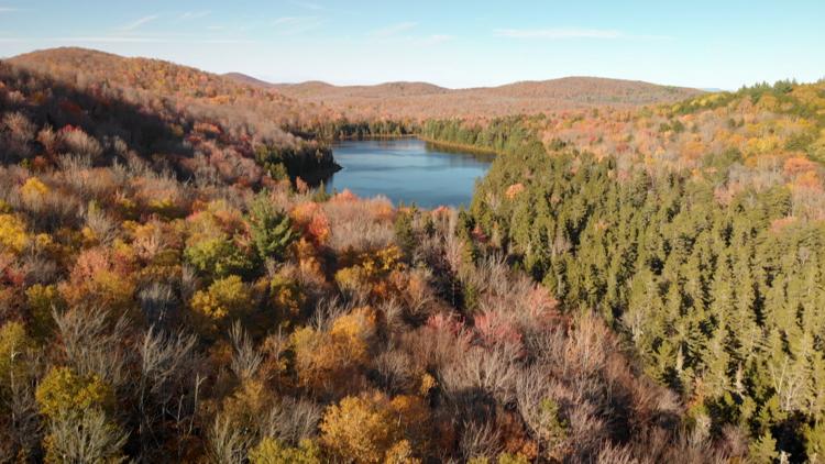 Постер La retour de la nature sauvage