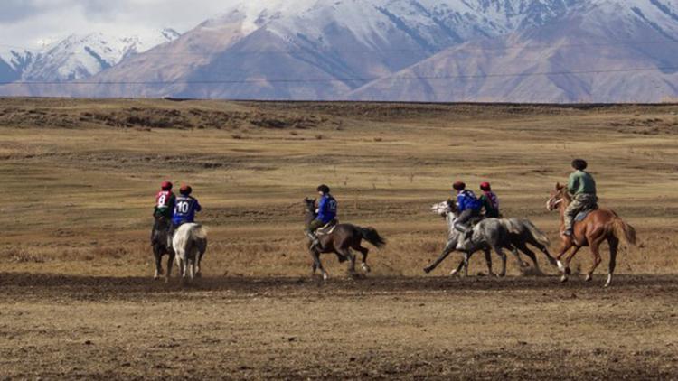 Постер Wings of Kyrgyzstan