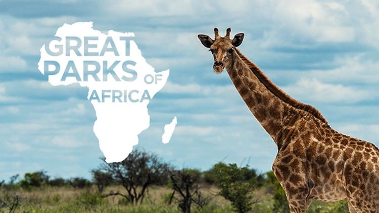 Постер Great Parks of Africa