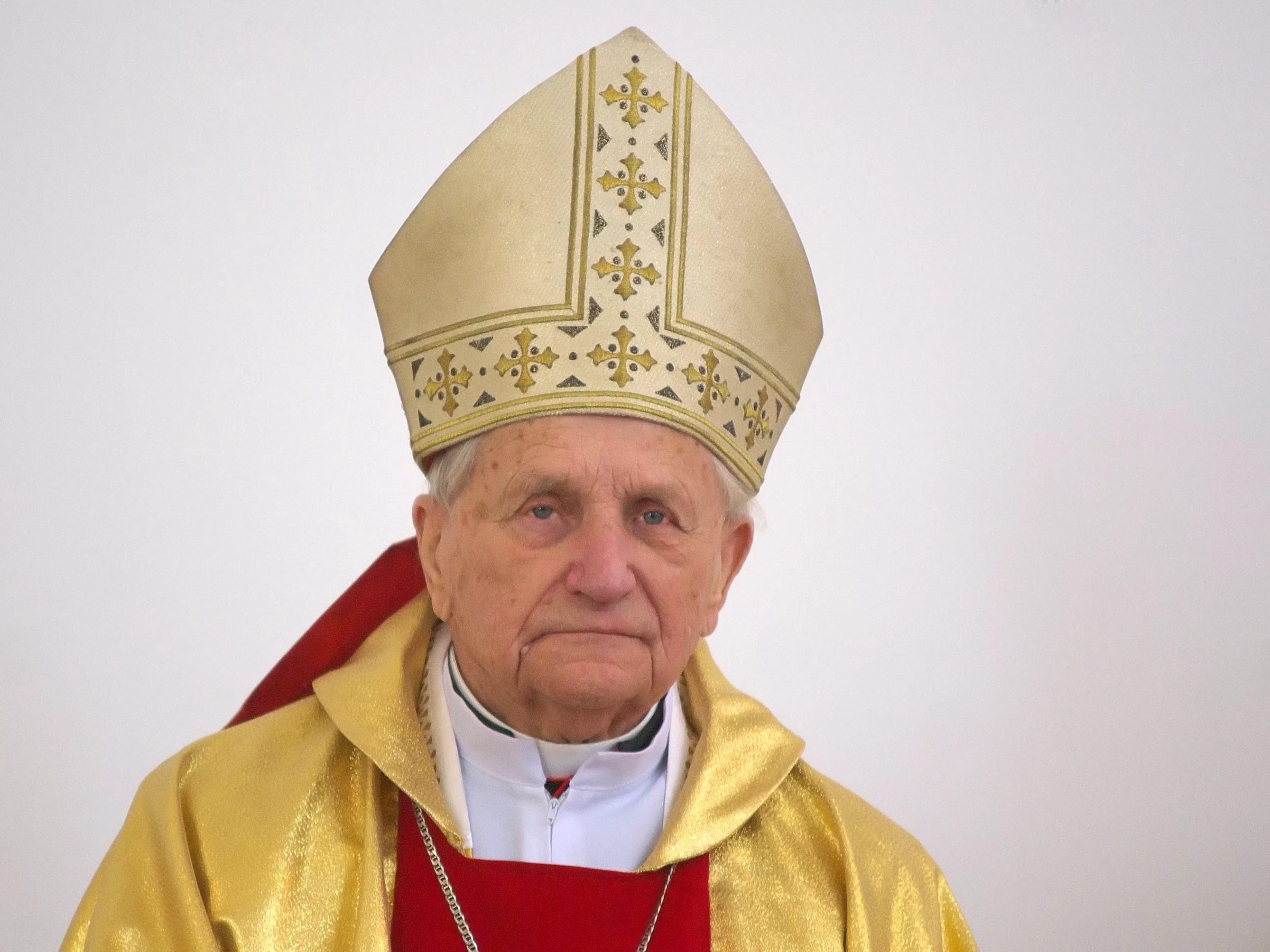 Pasterz - Kazimierz Kardynał Świątek (pasterz-kazimierz-kardyna-witek) Документальный фильм