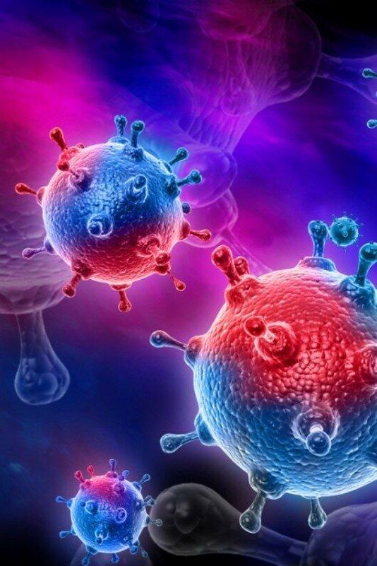 Live: Коронавирус (live-koronavirus) Познавательное