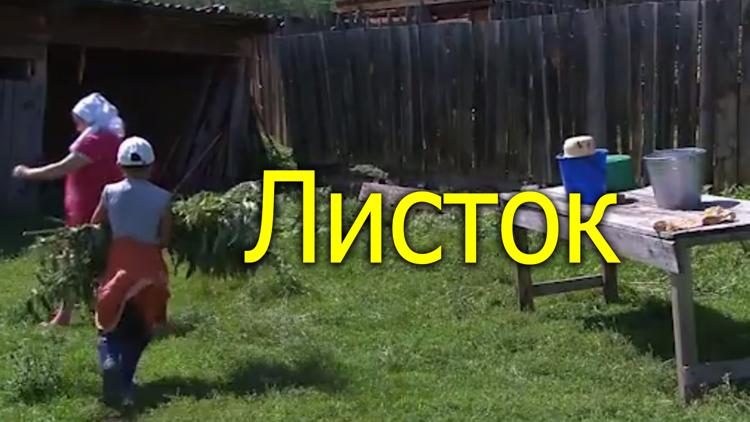 Постер Листок