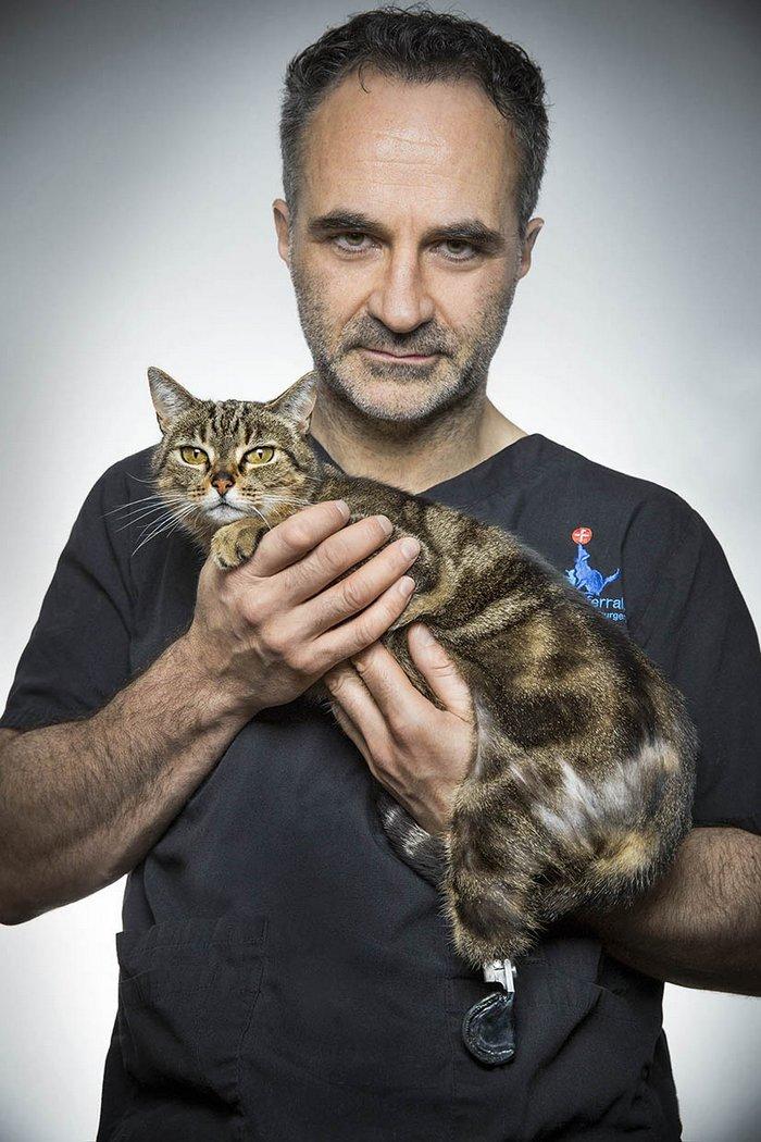 Суперветеринар (superveterinar) Реалити-шоу