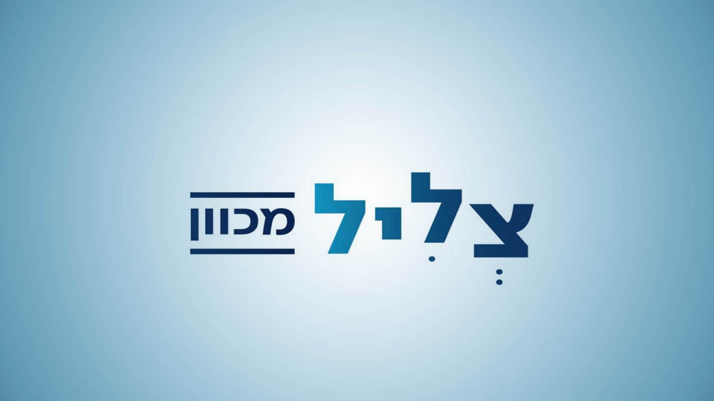 צליל מכוון Досуг, хобби