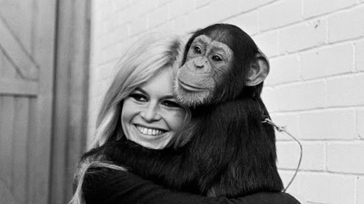 Постер Brigitte Bardot, le serment fait aux animaux