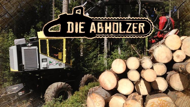 Постер Die Abholzer