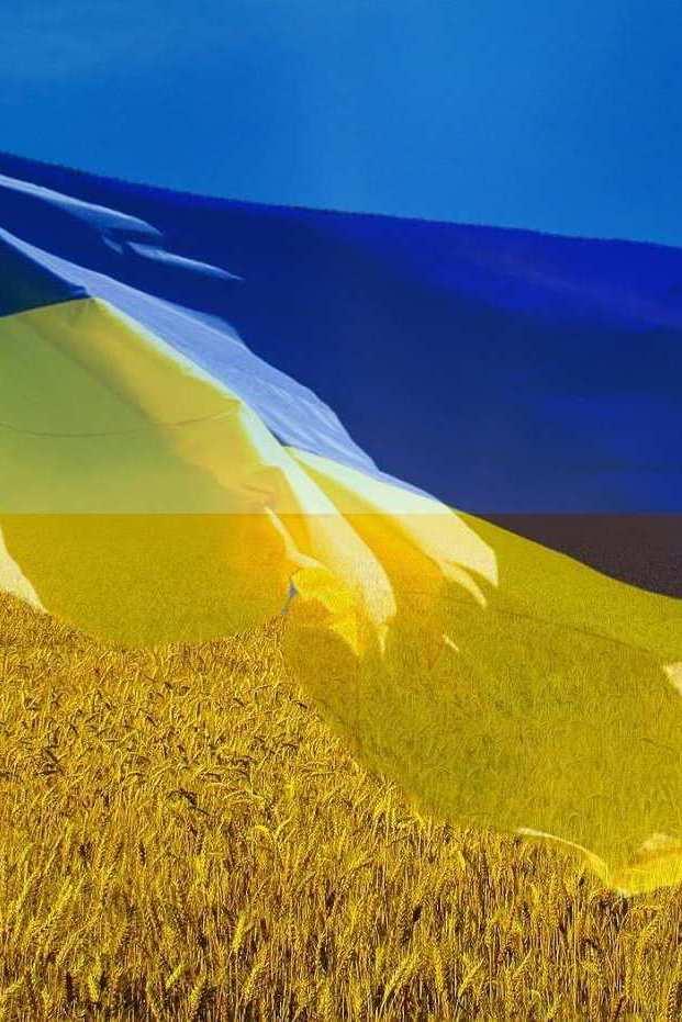 Наша дорога (nasha-doroga) Ток-шоу
