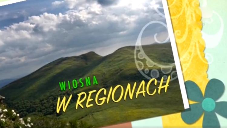 Постер Wiosna w regionach