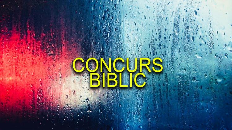 Постер Concurs biblic