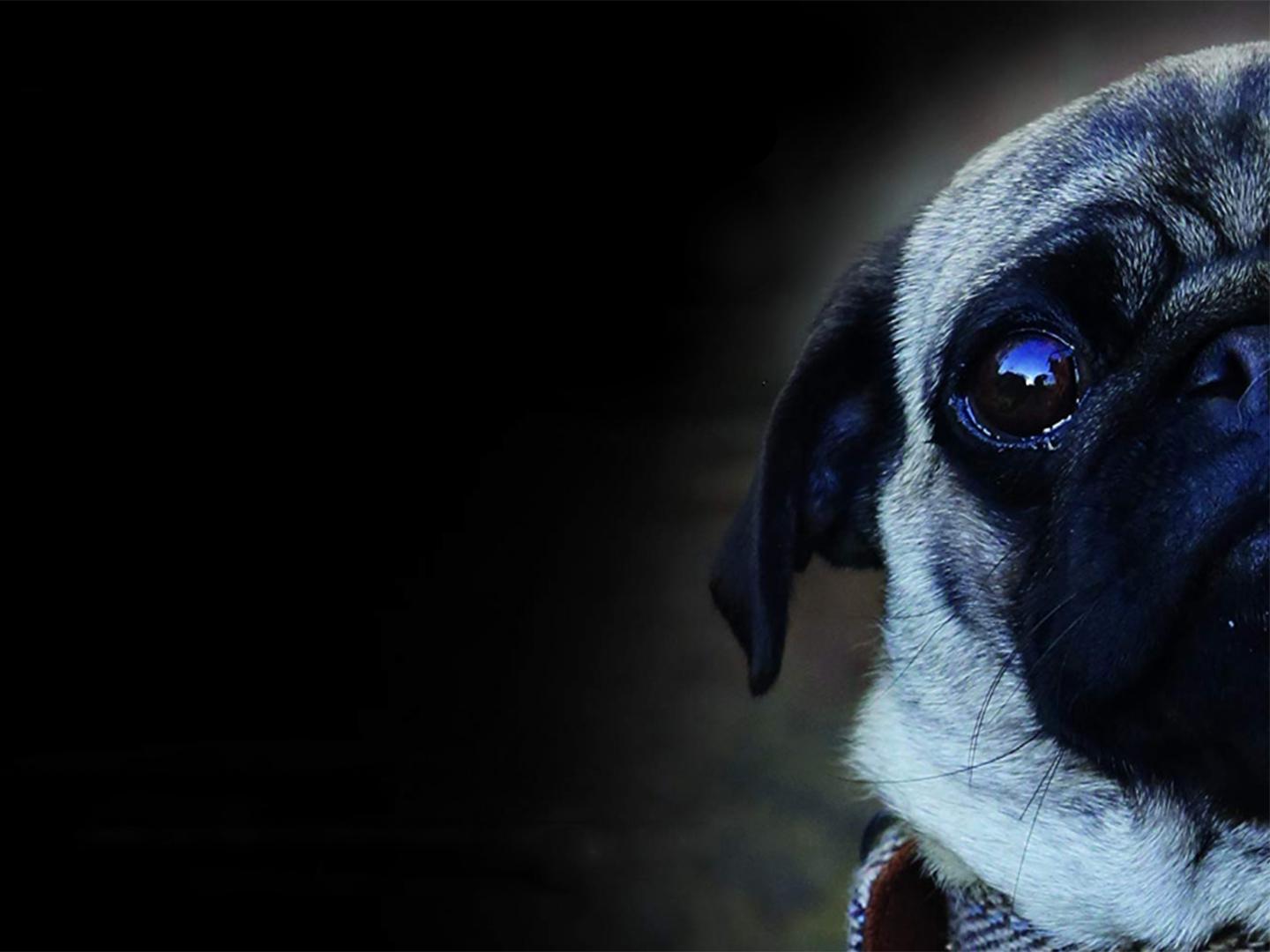 Берти (berti) Фильм 2018