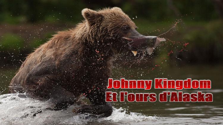 Постер Johnny Kingdom et l'ours d'Alaska