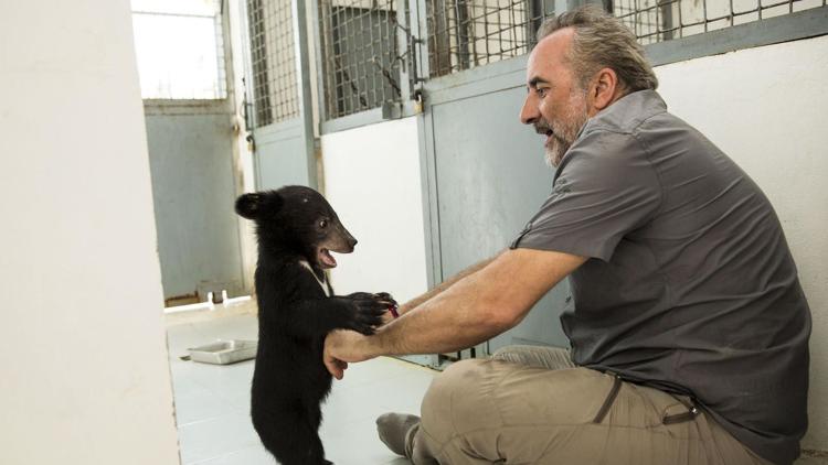 Постер Antoine Dulery et Chanee sur la terre des ours