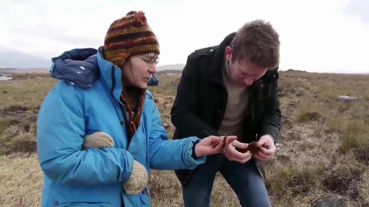 Paysages d'ici et d'ailleurs (paysages-dici-et-dailleurs) Документальный сериал