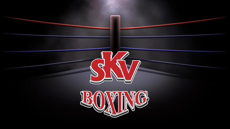 Постер Шоу SKV Boxing (профессиональный бокс). 14 марта 2020 года, Анапа (Россия)